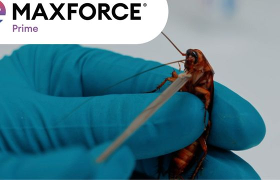 Hand Made realizuje globalną kampanię Maxforce