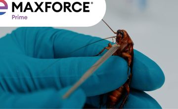 Hand Made realizuje globalną kampanię Maxforce