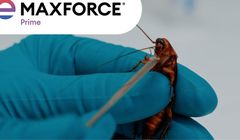 Hand Made realizuje globalną kampanię Maxforce