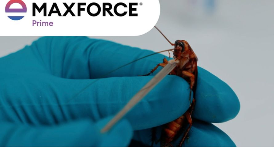 Hand Made realizuje globalną kampanię Maxforce