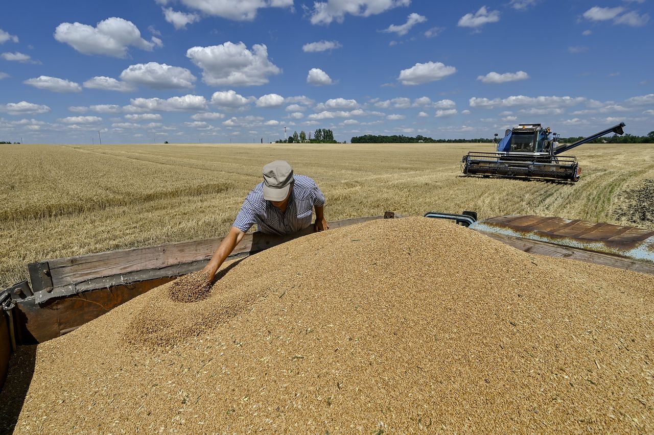 Ukraine exported 44 million tons of grain