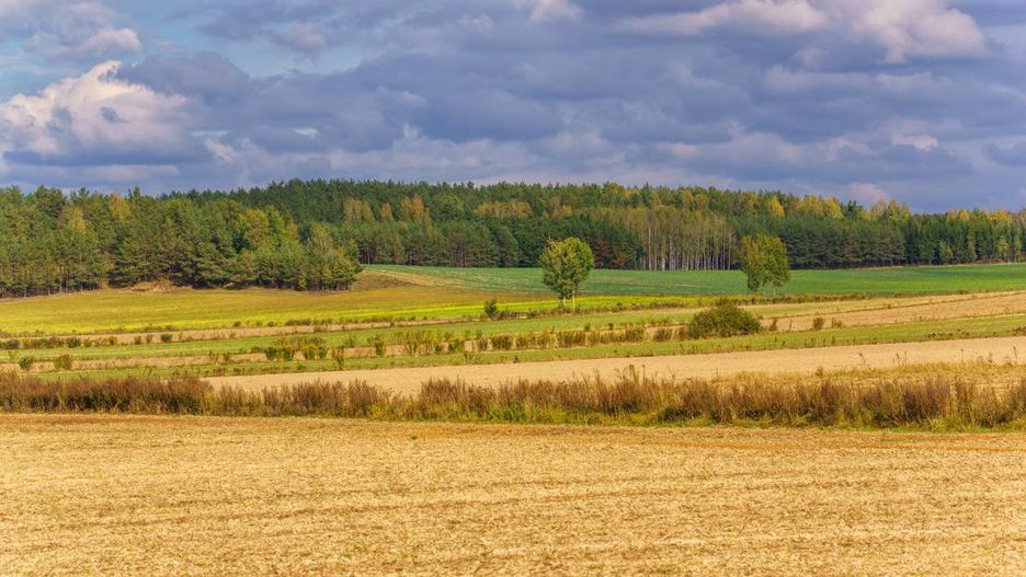Wzgórza Sokólskie