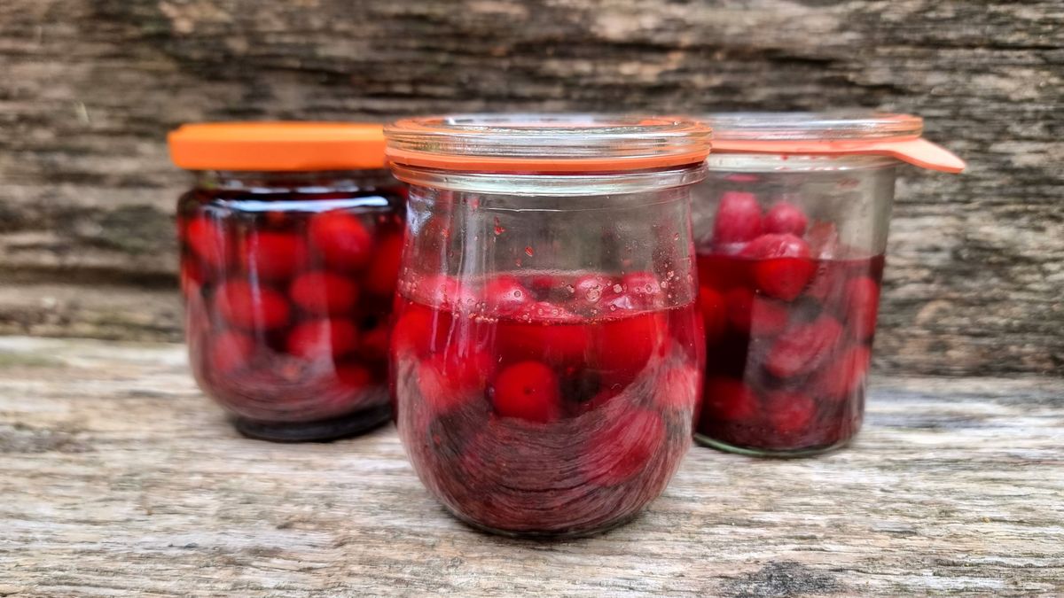 Marynowane czereśnie w słoikach - przysmak do spiżarni