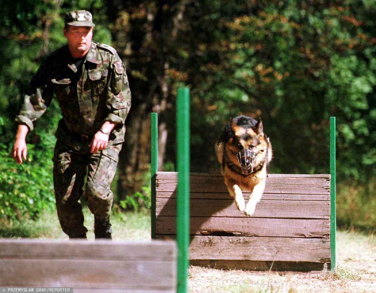 Ośrodek szkolenia psów dla Straży Granicznej w Lubaniu