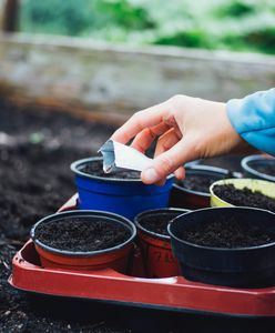 Kalendarz biodynamiczny marzec 2023. Kiedy rozpocząć pracę?