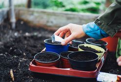 Kalendarz biodynamiczny marzec 2023. Kiedy rozpocząć pracę?
