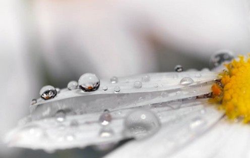 [GALERIA] Flickr: kropla wody z każdej strony 4