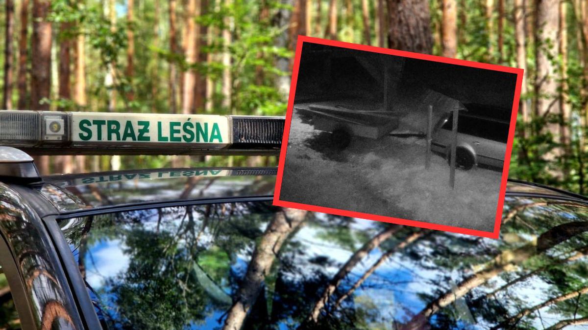 Kradzież na Przystanku Edukacyjnym Czerna