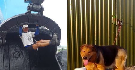 Kuryło będzie biegał... "w intencji ludzi, którzy porzucają zwierzęta"!