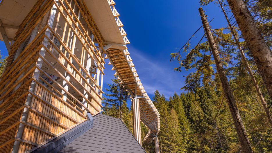 Pierwsza taka atrakcja na Podhalu powstała w pobliżu miejscowości Waksmund