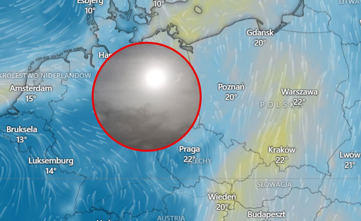 Jakość powietrza w Polsce. W miejscach oznaczonych żółtym kolorem pojawił się saharyjski pył
