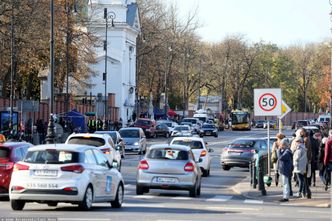 Zakaz aut spalinowych do kosza? Polska ma plan