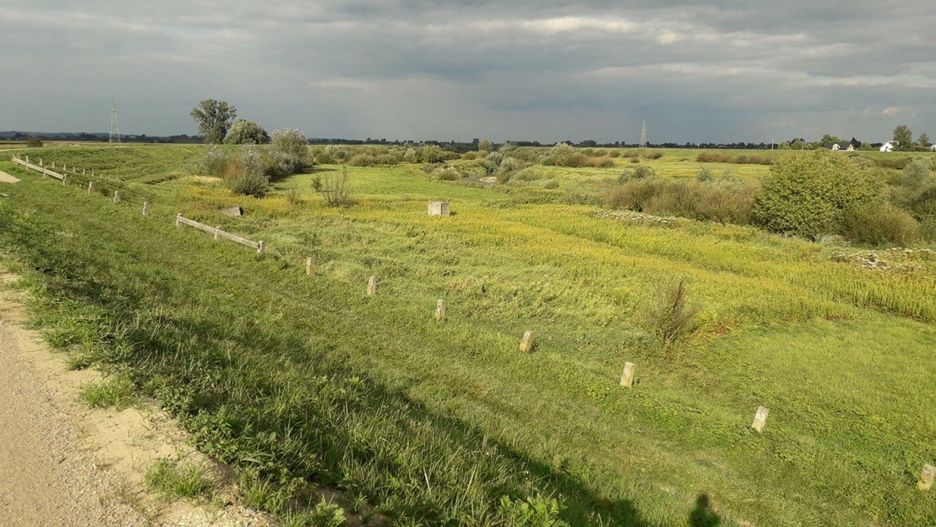 Trasa rowerowa Velo Raba między Uściem Solnym a Mikluszowicami