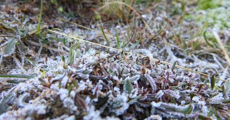 Pogoda w Zielonej Górze. Prognoza na sobotę 28 marca. Słonecznie i chłodno nad ranem
