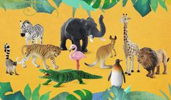 Figurki i gadżety z dzikimi zwierzętami w promocji Lidla (wideo)