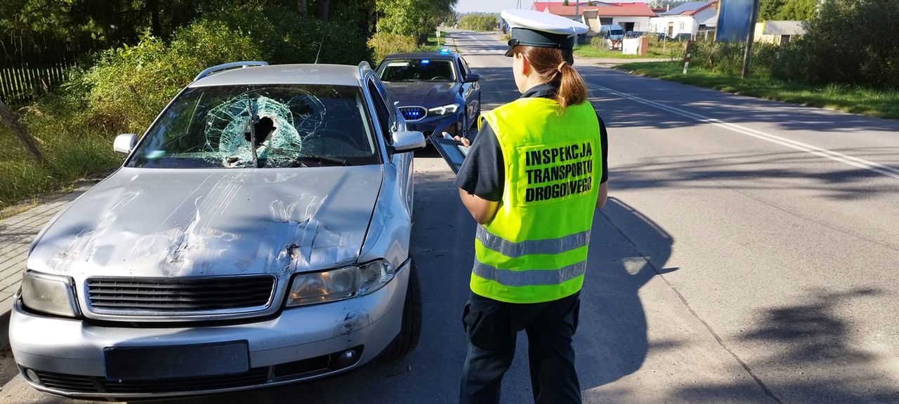 Kierował, patrząc przez dziurę w szybie. Wcześniej wbił się w ciężarówkę