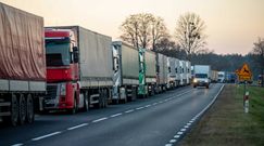 Polskie firmy a sankcje na Rosje. "Same tego nie udźwigną"