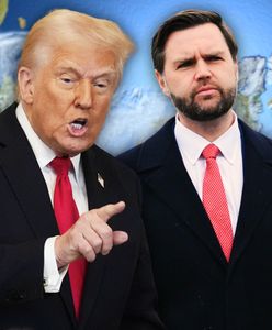 Jak słoń w składzie porcelany. Grenlandczycy wściekli na Trumpa