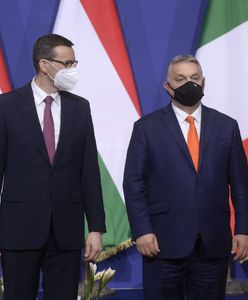 Tusk komentuje wizytę Morawieckiego w Budapeszcie. "To nie prima aprilis"