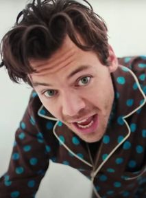 Harry Styles będzie sprzedawać wibratory? Nowe produkty Pleasing zadowolą fanów