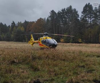 Twaróg: Konar uderzył w 19-latka. Mężczyzna był reanimowany