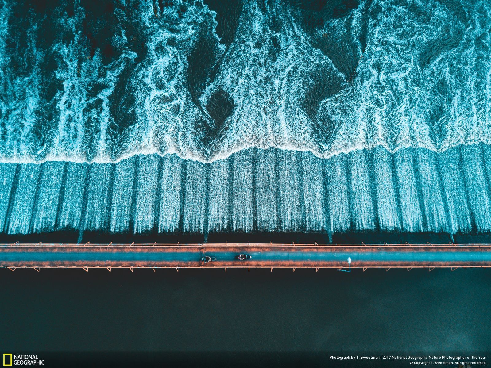 Poznaj najnowsze zgłoszone zdjęcia w konkursie Nat Geo Nature Photographer of the Year 2017 17