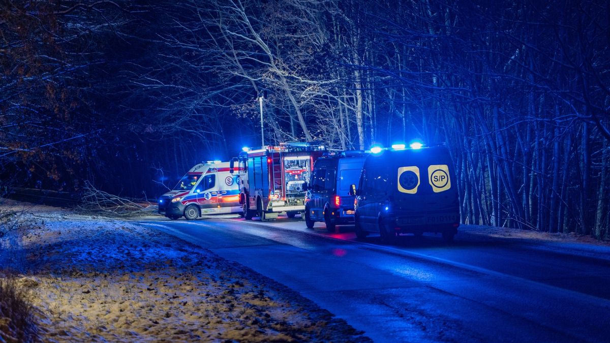 Tragiczny wypadek. 40-latek uderzył w drzewo i dachował (zdjęcie ilustracyjne)