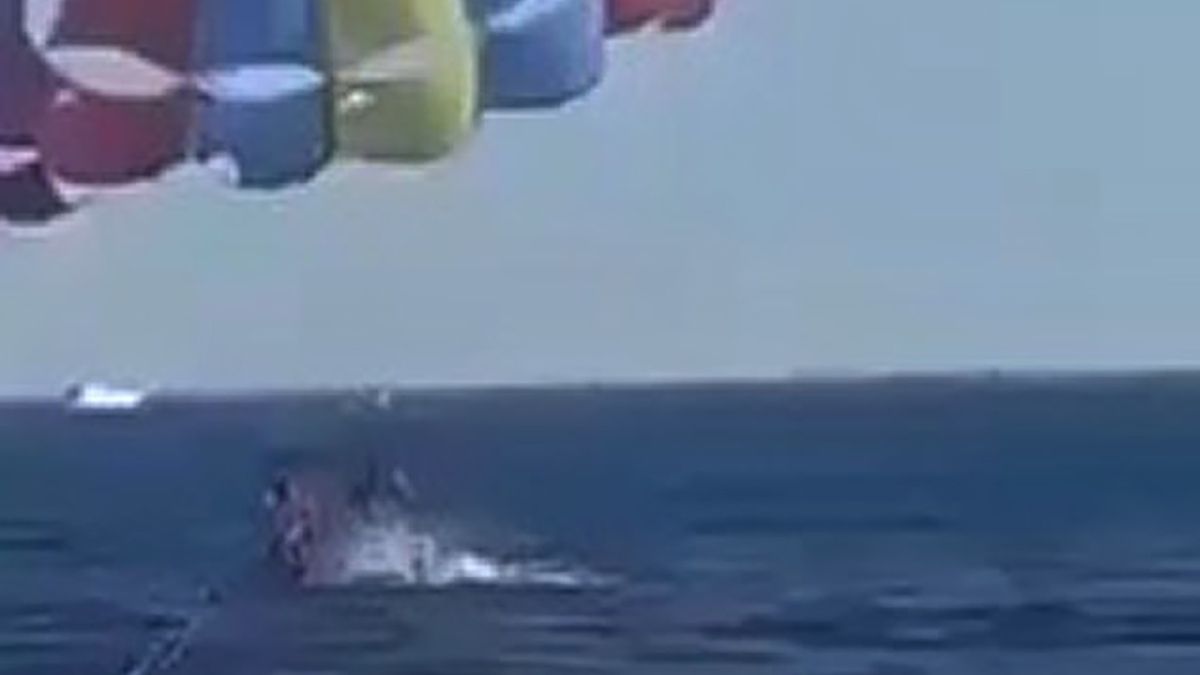 Rekin zaatakował paralotniarza. Odgryzł mu stopę