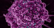 Mutacja zapewniająca odporność na HIV. Powstała kilka tysięcy lat temu