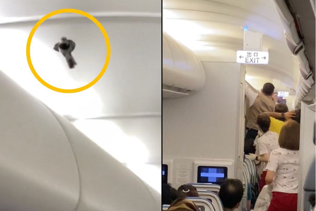 Pasażer na gapę w samolocie. Wywołał niemałe zamieszanie