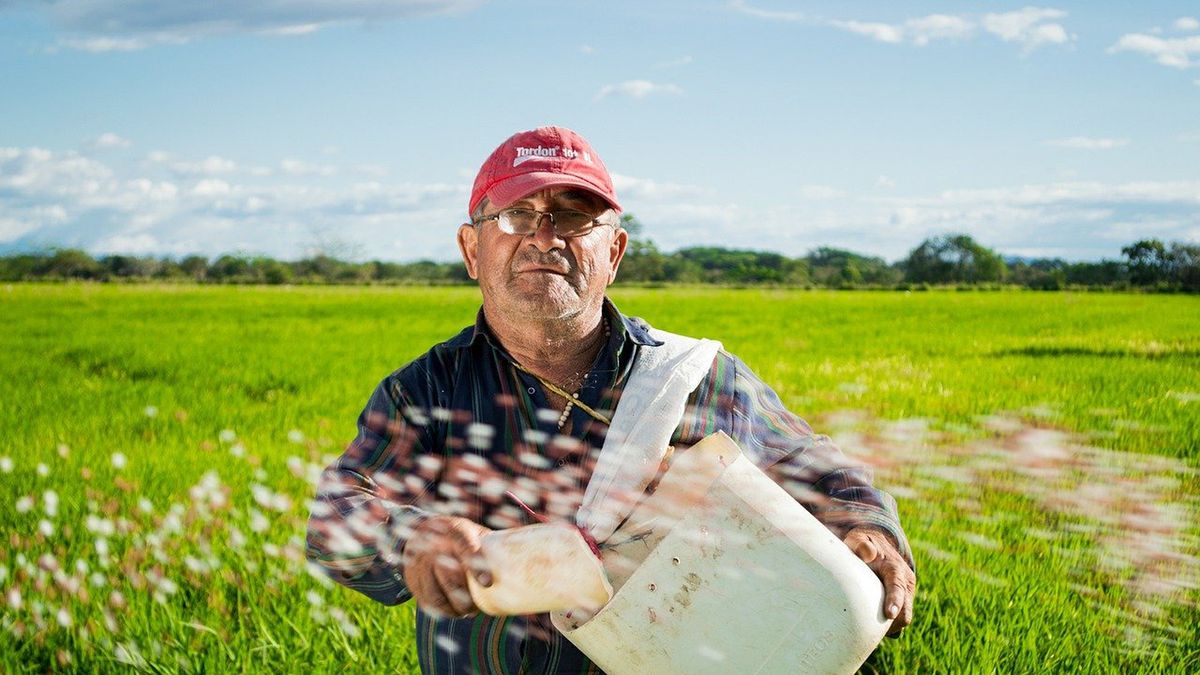 Rolnik, zdjęcie ilustracyjne