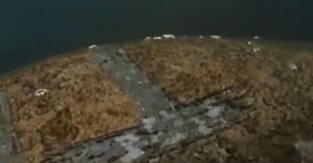 Przerażające odkrycie w głębinach. Zobaczyli to zwierzę i nie mogli uwierzyć