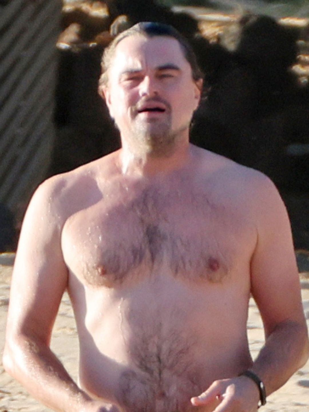 Leonardo DiCaprio