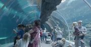 Największa atrakcja w centrum Polski. Turyści ją uwielbiają, a czy znają?