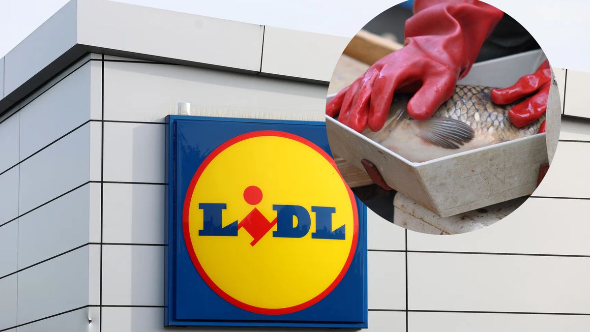 Lidl rozpoczyna wyścig o najlepszą, świąteczną ofertę na karpia