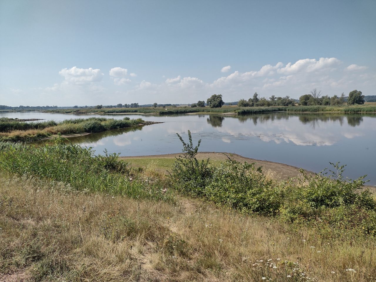 Niski stan Odry i przerażająca cisza nad rzeką we wsi Owczary. 