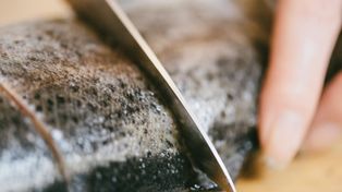 Co jeść, by żyć dłużej? Naukowcy mówią o różnicach między płciami