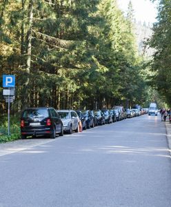 Wakacje 2020. Morskie Oko. Brak miejsc parkingowych na Palenicy Białczańskiej. Turyści muszą zawracać