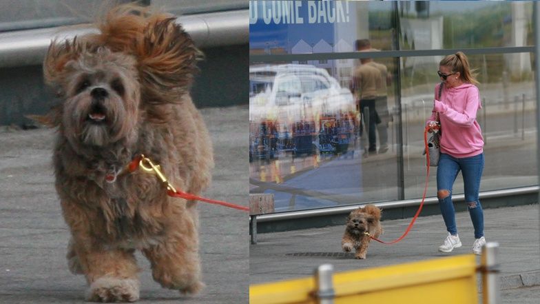 Victoria Swarovski przyleciała do Gdańska 