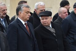 "Oni gardzą Europą". Polski rząd na liście "Sueddeutsche Zeitung"