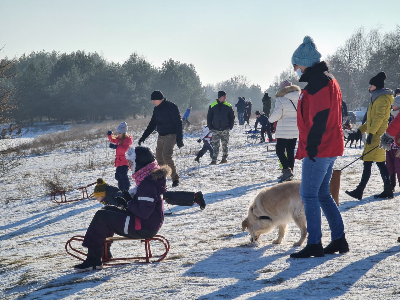 Zima wróciła do Poznania, a wraz z nią – górki saneczkowe. Miasto otwiera bezpieczne miejsca do zimowych zabaw