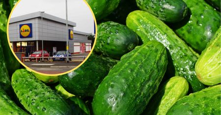 Lidl wprowadza ograniczenia. Trzy sztuki warzyw na osobę