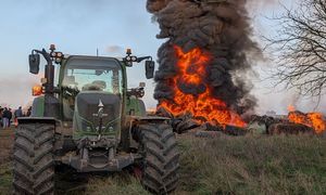 We Francji wybito prawie 3 tys. sztuk bydła. Rolnicy wyszli na ulice