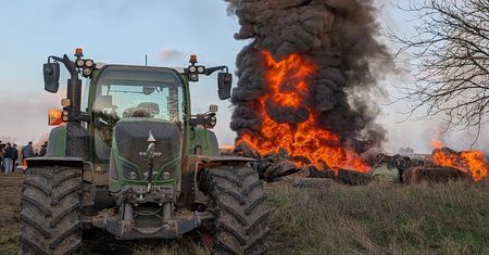 We Francji wybito prawie 3 tys. sztuk bydła. Rolnicy wyszli na ulice