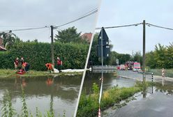 Akcja strażaków w Warszawie. Przerwany wał na potoku w Wilanowie