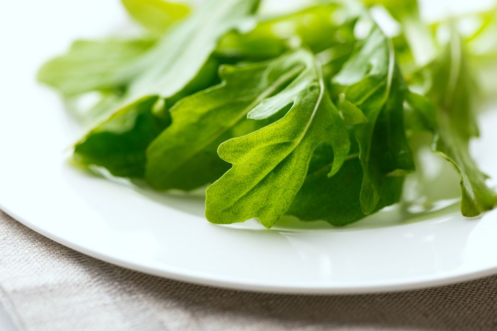 Rukola – właściwości odżywcze, przepisy