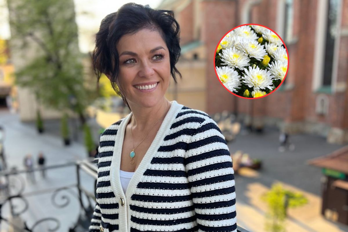Kiszone chryzantemy to hit. Kasia Cichopek podaje przepis i mówi, jak działają
