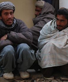 Szura, czyli zgromadzenie starszyzny