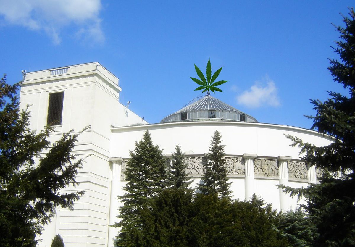 Skąd wziąć marihuanę w Warszawie?