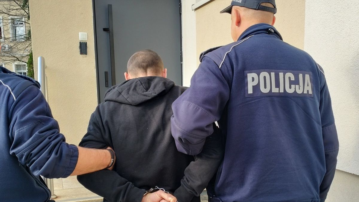 zdjęcie